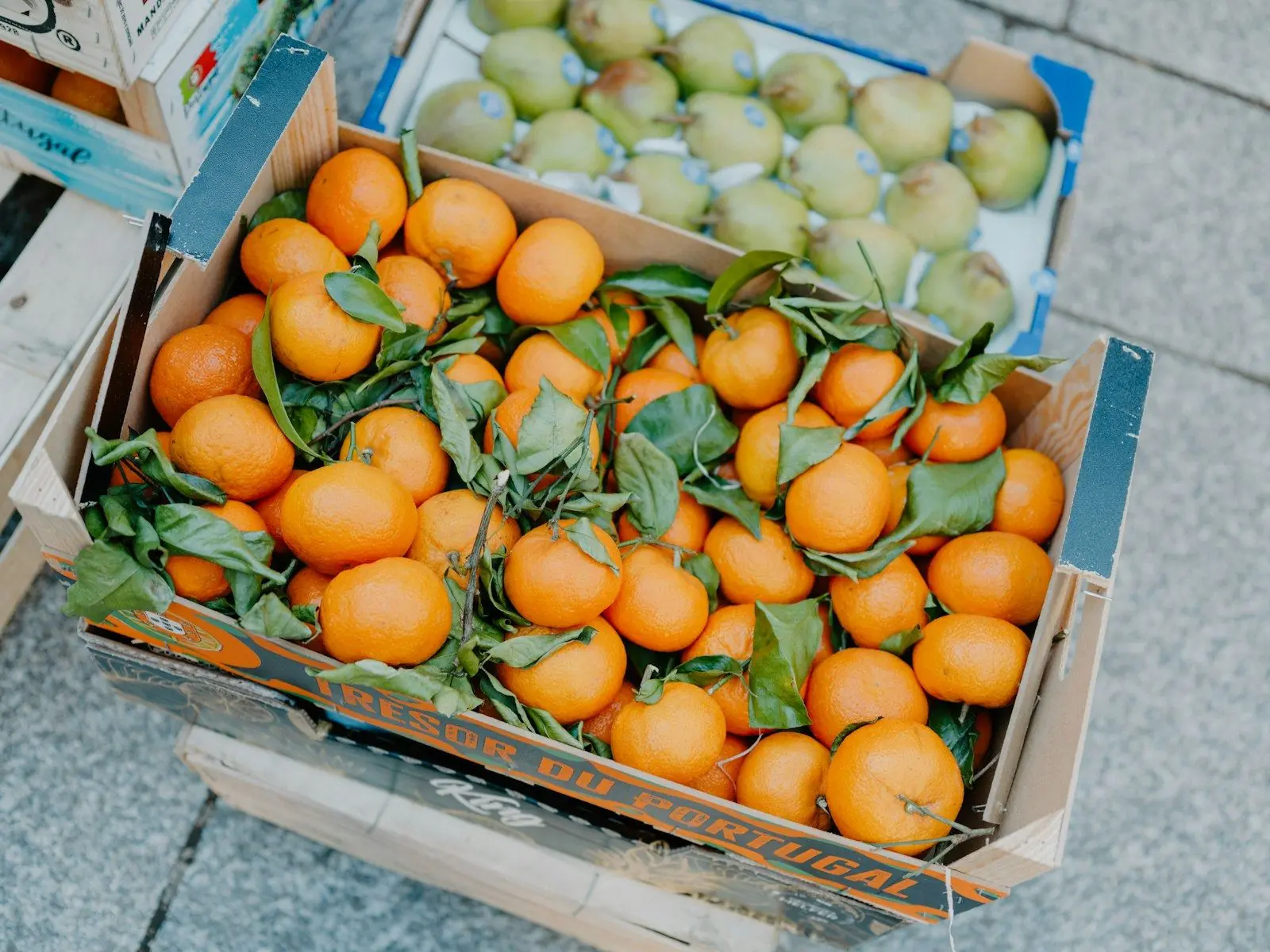A crate full of fresh oranges with their leaves
